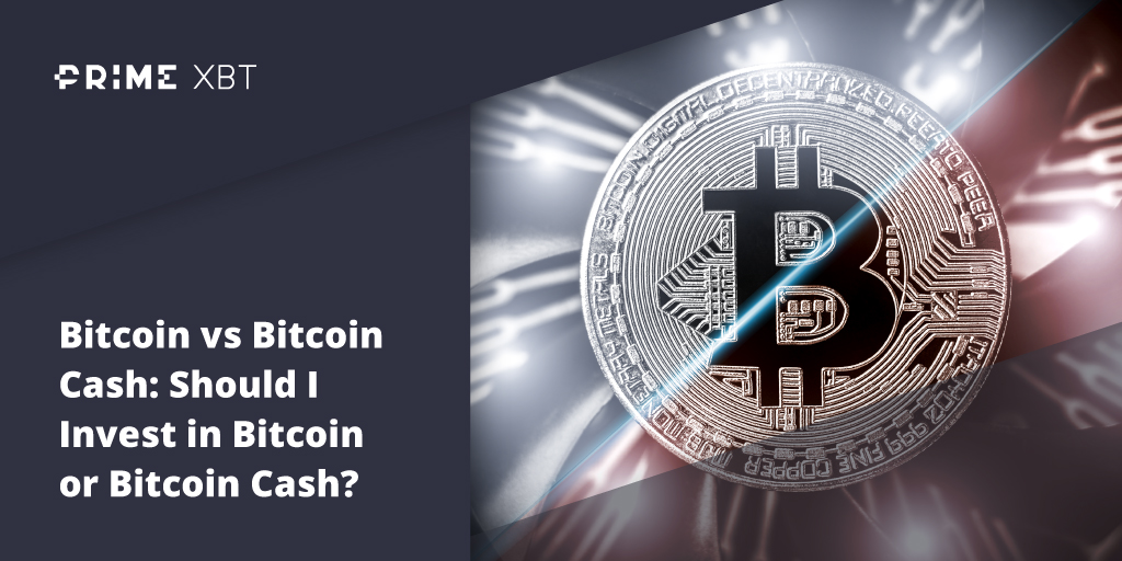 Bitcoin vs. Bitcoin Cash: What's the difference between BTC and BCH? Bitcoin vs. Bitcoin Cash: What's the difference between BTC and BCH? - Blog Primexbt 16 11