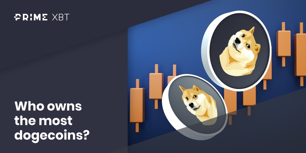 Who Owns the Most Dogecoin? How Many DOGE Holders Are There? Who Owns the Most Dogecoin? How Many DOGE Holders Are There? - Who owns the most dogecoins