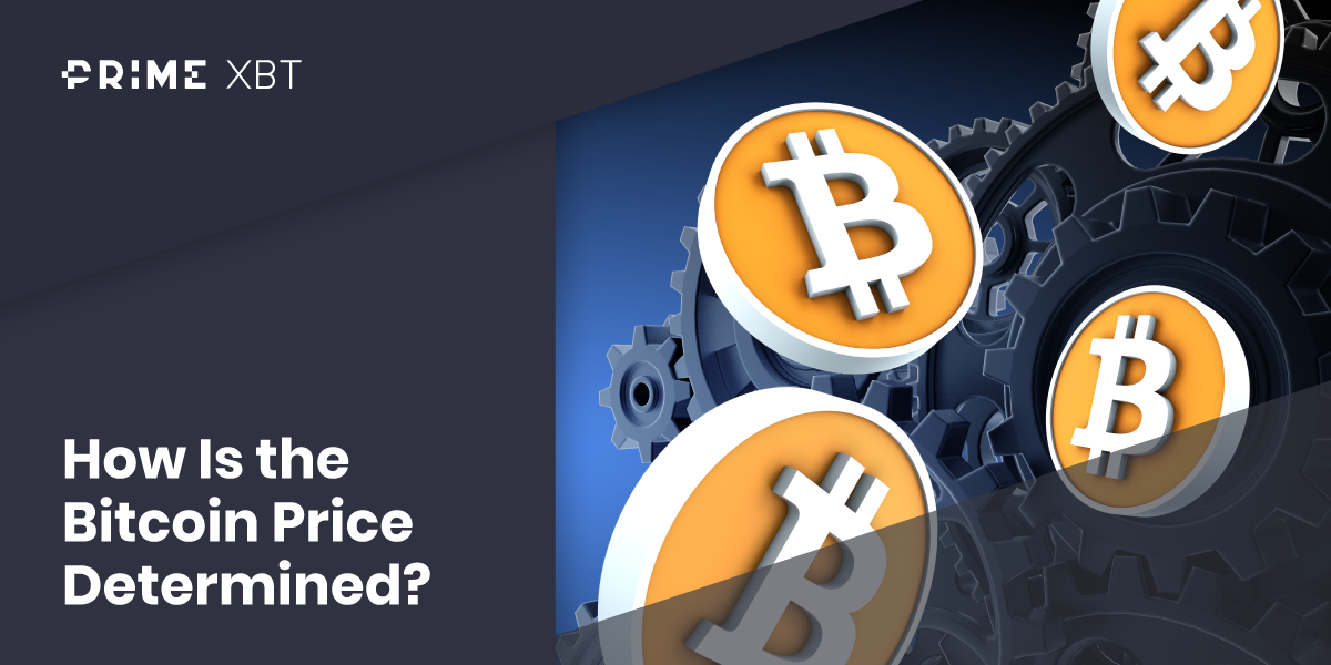 How Is the Bitcoin Price Determined? How Is the Bitcoin Price Determined? - How Is the Bitcoin Price Determined